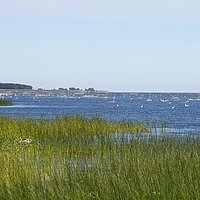 Stettin und Stettiner Haff: Weite und unberührte
Natur bietet sich von der neuen Basis in Stettin
Richtung Norden.