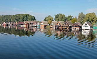 Bootshäufer auf einem Kleinsee